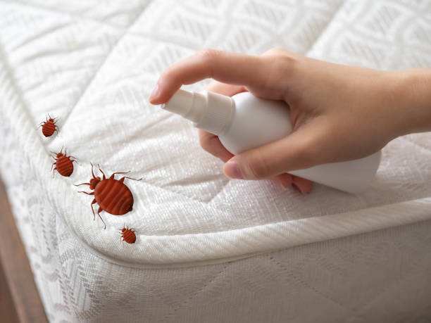 Best Pest Prevention Services  in Cleveland, WI