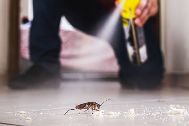 Best Commercial Pest Control Services  in Cleveland, WI