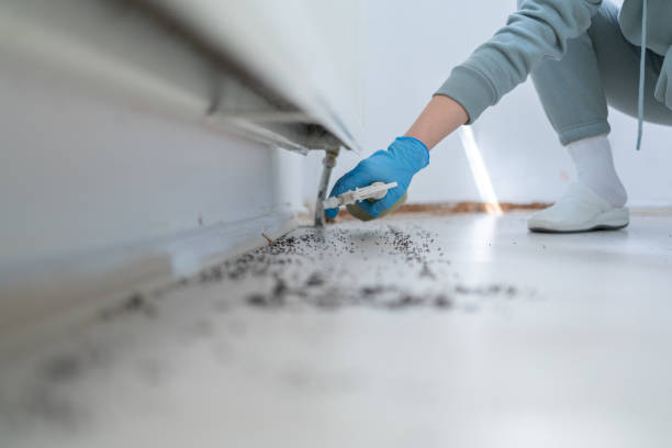 Reliable Cleveland, WI Pest Control Solutions